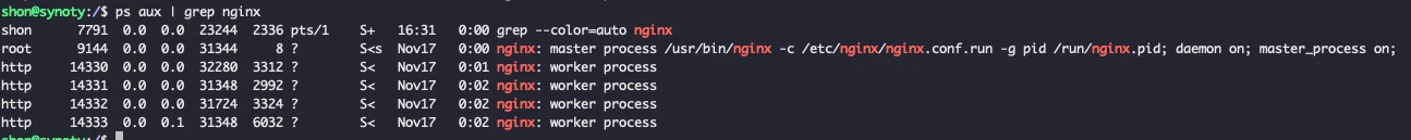 Synology NGINX Web server